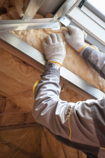 Best Insulation Maintenance and Repair in Springdale, OH