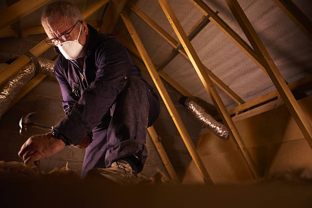 Best Insulation Installation Services in Springdale, OH